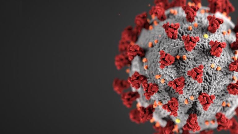 Contingencia y Continuidad Laboral 